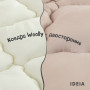 Ковдра євро ІДЕЯ Woolly 200х220 (шерстепон/мікрофібра)