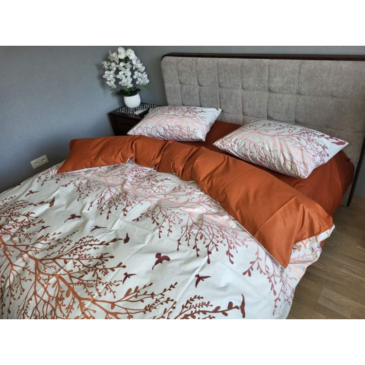 КПБ Комфорт Текстиль турецький котон Solo 526 євро